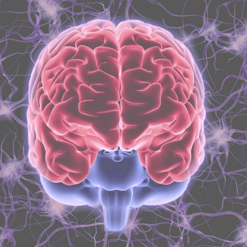 Gros plan sur un cerveau de couleur rouge fluorescent avec des neurones en fond