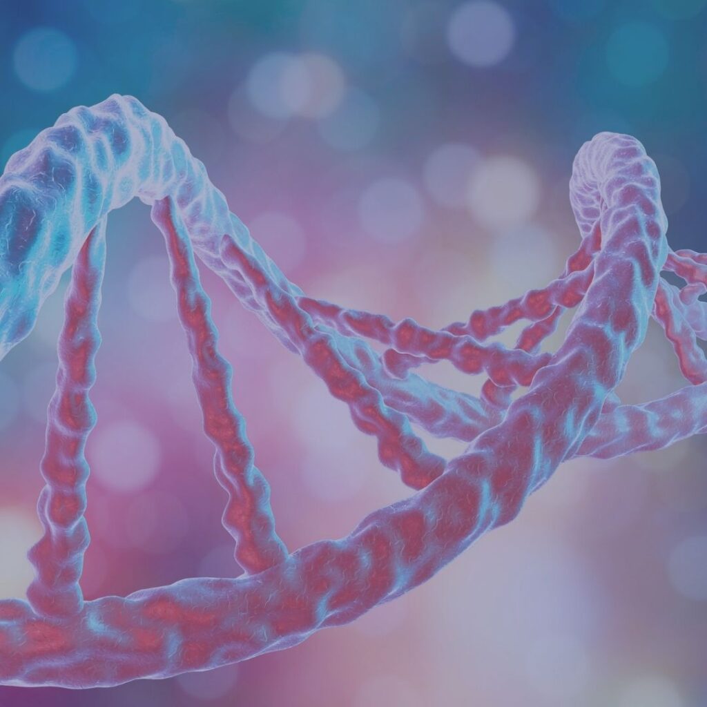Image d'une hélice d'ADN de couleur rose et fond flou rose et bleu